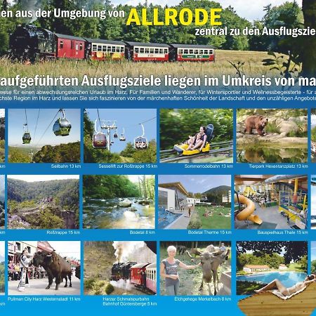 Ferienanlage Harzfreunde Allrode Extérieur photo