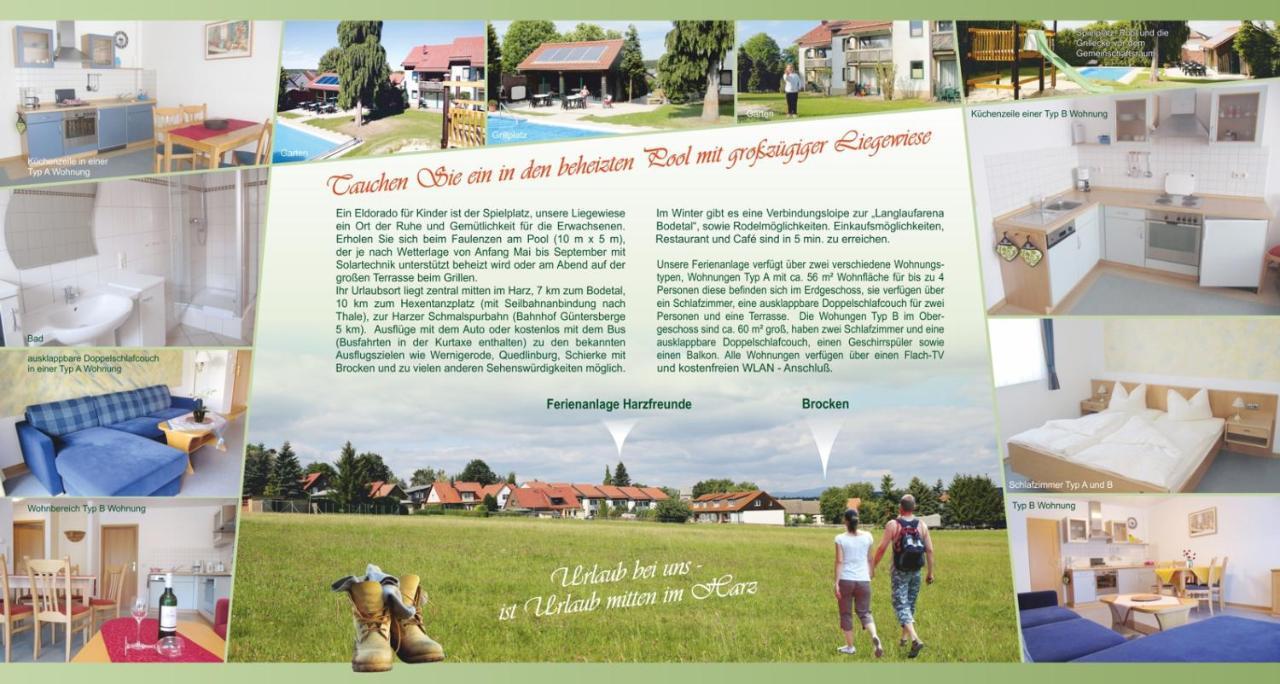 Ferienanlage Harzfreunde Allrode Extérieur photo